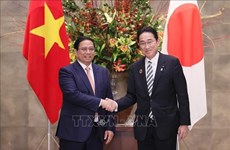 Vietnamese, Japanese PMs hold talks in Tokyo