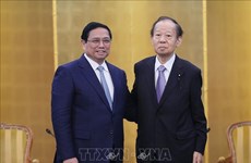 PM receives leaders of Japan-Vietnam Parliamentary Friendship Alliance