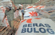 Indonesia’s rice assistance programme to benefit 22 million families 