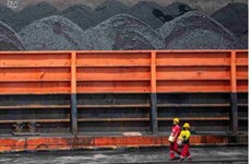 Indonesia looks into exploitation of rare earth elements from coal  