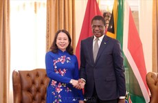 Vietnam, South Africa should further bolster economic ties: Diplomat