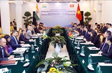 Indian scholar hails Vietnam’s diplomatic achievements