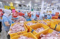 Vietnam aims to increase export turnover by 6% by 2024