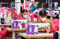 Vietnamese economy expands 5.05% in 2023: GSO
