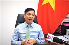 Vietnam’s images promoted via cultural diplomacy in Malaysia: Ambassador