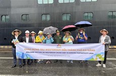 Cruise ship brings over 2,000 foreign tourists to Da Nang