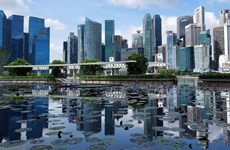 Singapore upbeat about economic growth in 2024 