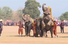 Lao Elephant Festival 2024 hoped to attract visitors to Xayaboury