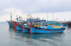 Binh Thuan province resolved to fight IUU fishing