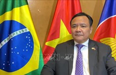 Brazilian President interested in advancing ties with Vietnam: Ambassador