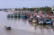 Kien Giang acts to combat IUU fishing