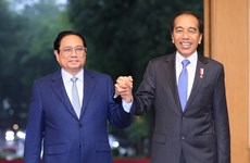 Vietnamese, Indonesian leaders hail development of multifaceted cooperation