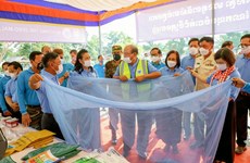 Cambodia’s malaria cases in 2023 drop sharply: health official