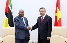 Minister commends Mozambican ambassador's tenure