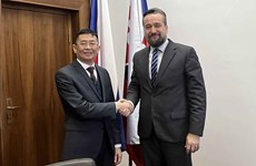  Vietnam, Slovakia see great potential to develop cooperation: Slovak legislator