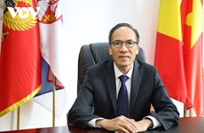 PM’s Romania visit affirms Vietnam’s wish to promote bilateral ties: diplomat