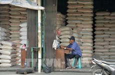 Indonesia to spend 7.6 billion USD for food security in 2024