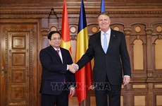 Vietnamese PM meets with Romanian President