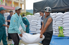 Nearly 15,500 tonnes of rice allocated for 17 provinces 