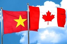 Indo-Pacific Strategy to help strengthen Vietnam-Canada education, business ties: expert