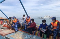 Ba Ria – Vung Tau takes drastic measures against IUU fishing 