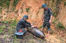 Wartime bomb safely deactivated in Nghe An 