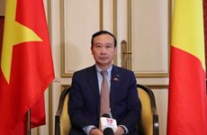 FM’s trip to promote Vietnam’s ties with EU, Belgium: Ambassador