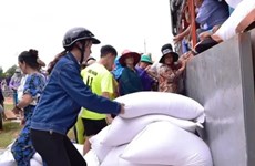 Localities receive rice aid for Lunar New Year