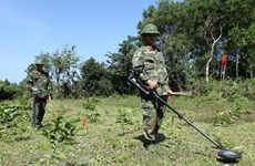 Quang Tri to clear 42 million sq.m. of land from cluster bombs in 2024