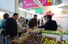 Vietnamese fruits promoted in Berlin exhibition
