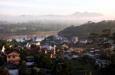 Da Lat enjoys growth in tourist arrivals during Tet holiday