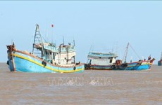 Southern localities take urgent action to fight IUU fishing