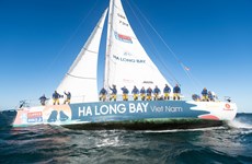 Quang Ninh’s beauty introduced to Clipper Round World Yacht Race’s sailing teams