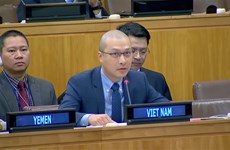 Vietnam calls for promoting security, safety, women’s role in peacekeeping operations