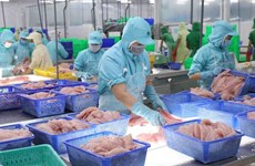 Vietnam's aquatic product exports expected to recover in 2024