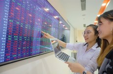 Vietnamese stock market continues strong upward trend