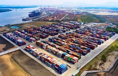 Nearly 112 million tonnes of cargo handled at Vietnamese seaports
