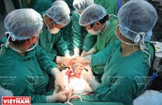 Vietnam a bright spot in organ transplant