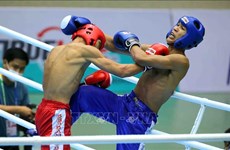 Binh Dinh to host Asian Kickboxing Championships 2024