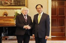 Vietnamese FM meets Irish President