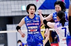 Vietnamese volleyballer receives offers to play in Europe