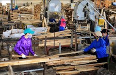 Stable material areas needed for sustainable wood industry: insiders