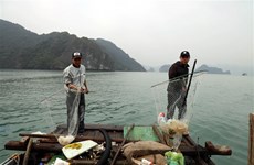 Waste collection in Ha Long Bay intensified