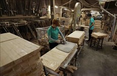 Wood, furniture industry advised to improve added value