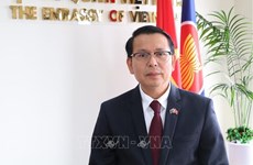 PM’s visit to tighten Vietnam - New Zealand strategic partnership: ambassador