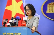 Vietnam deeply concerned about recent tension in East Sea: Spokeswoman