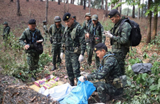 Thailand seizes large drug hauls in border province