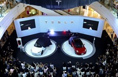 Southeast Asia becomes Tesla's priority for expansion