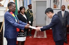 Vietnamese ambassador presents credential letter to Zimbabwean President