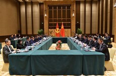 Vietnamese, Chinese parties' strategic advisory bodies on external relations enhance cooperation
